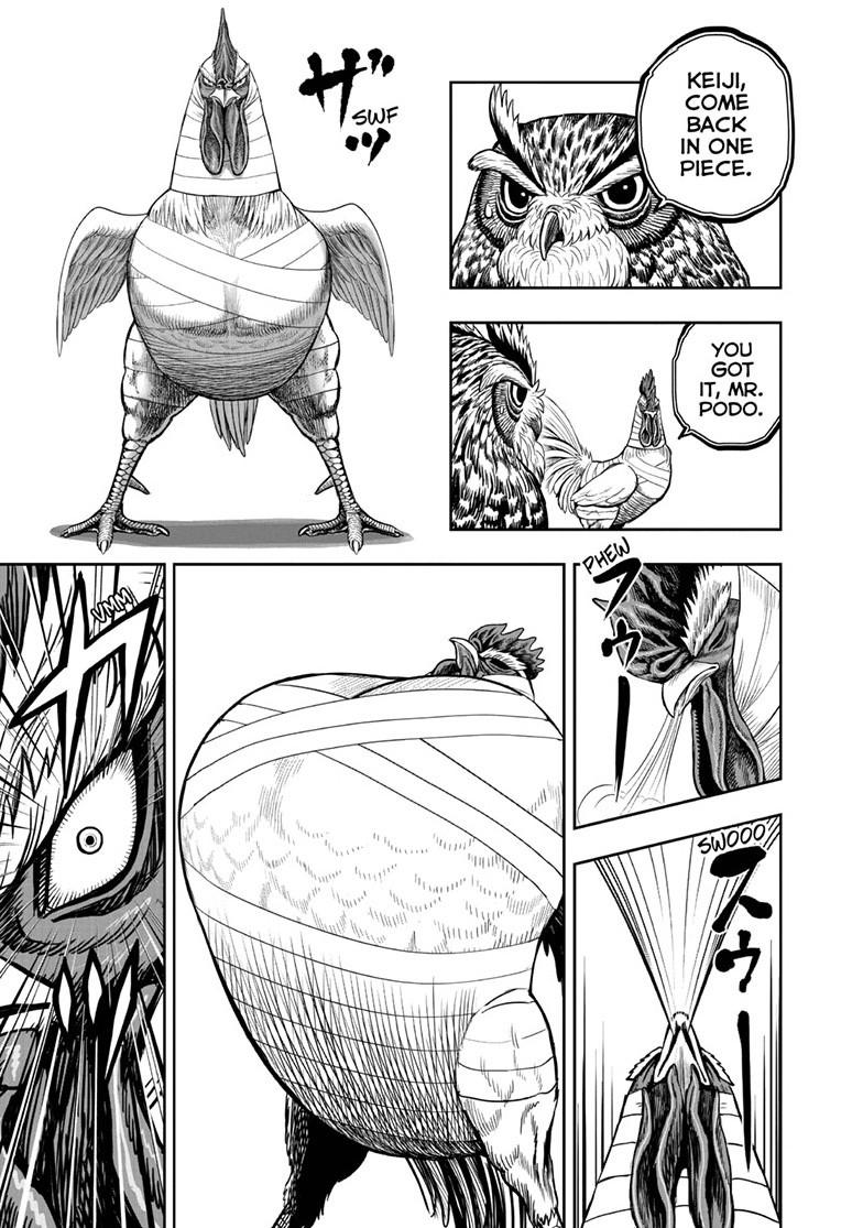 Rooster Fighter Chapter 49 6