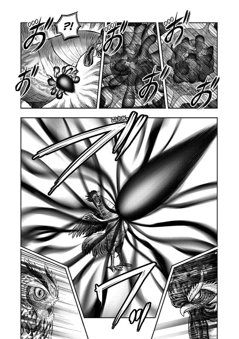 Rooster Fighter Chapter 49 8