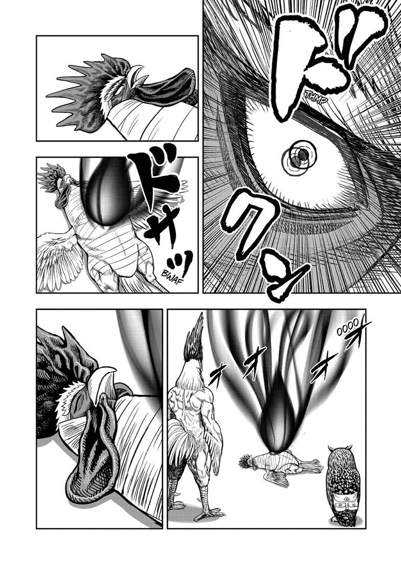 Rooster Fighter Chapter 49 9