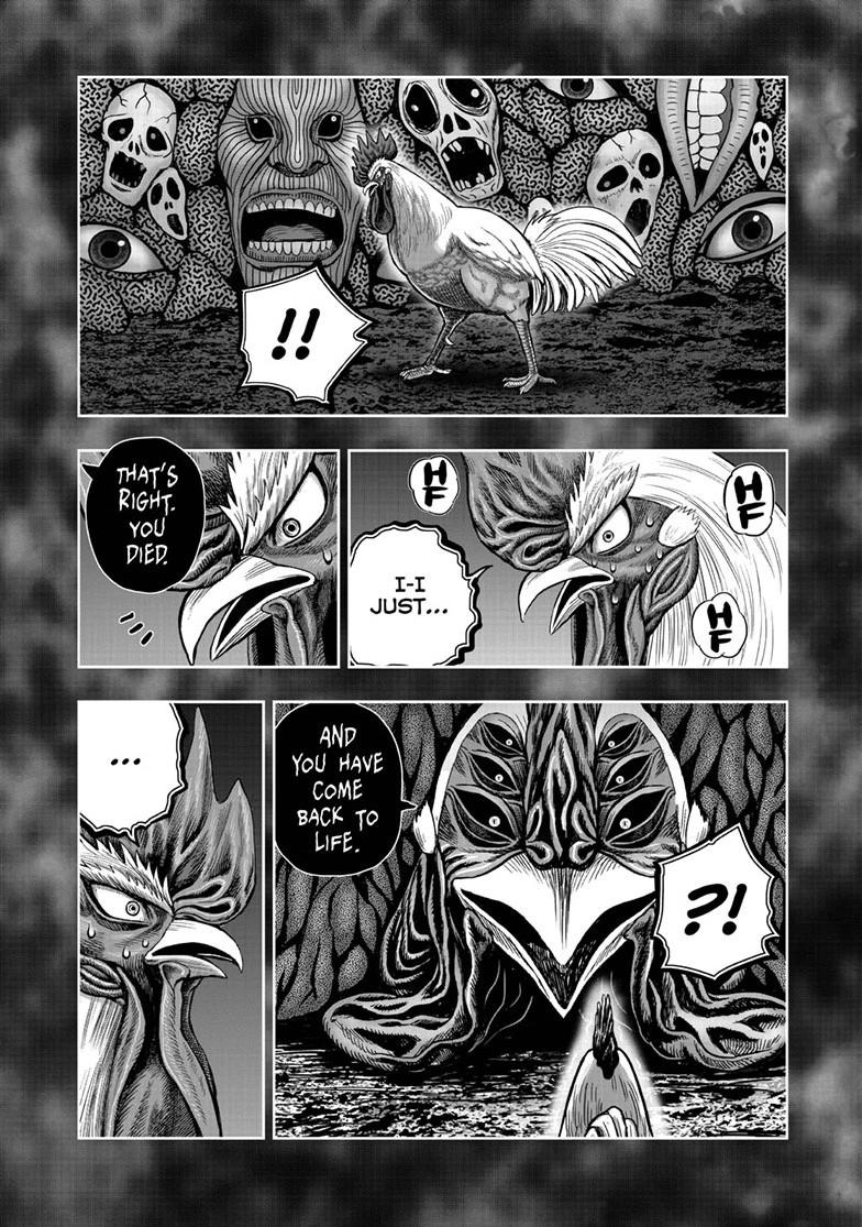 Rooster Fighter Chapter 49 33