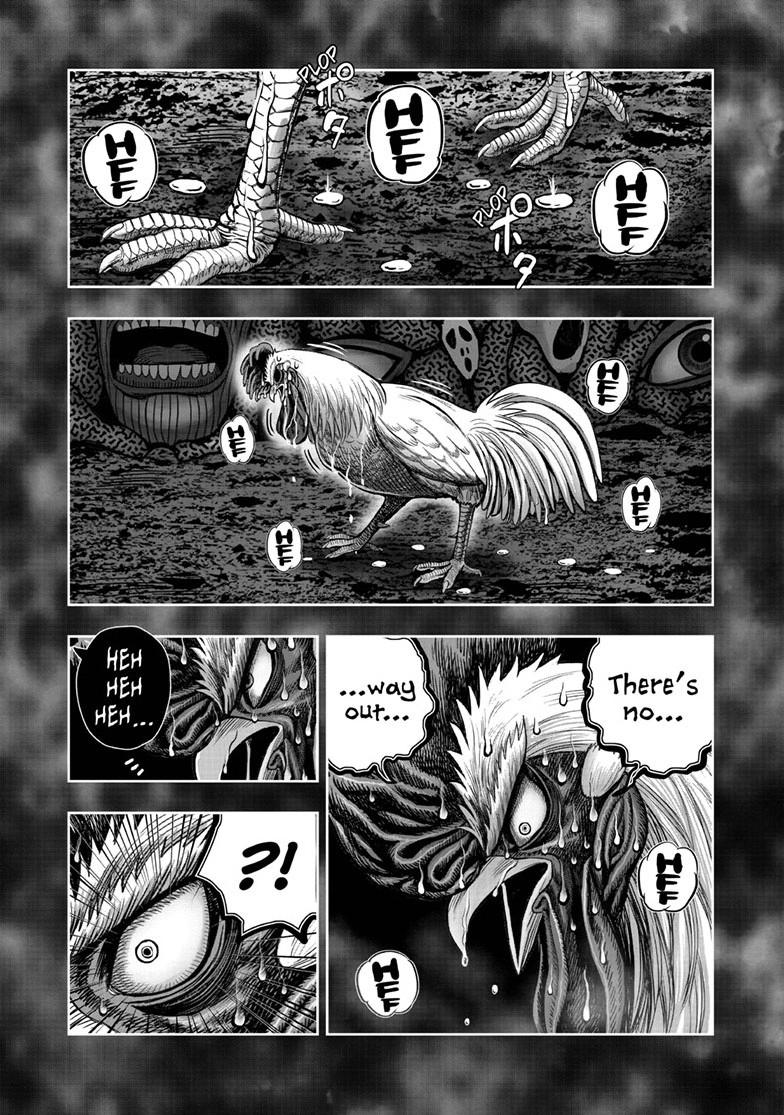 Rooster Fighter Chapter 49 38