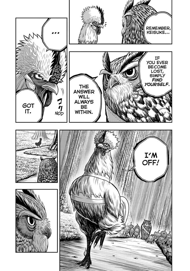Rooster Fighter Chapter 50 14