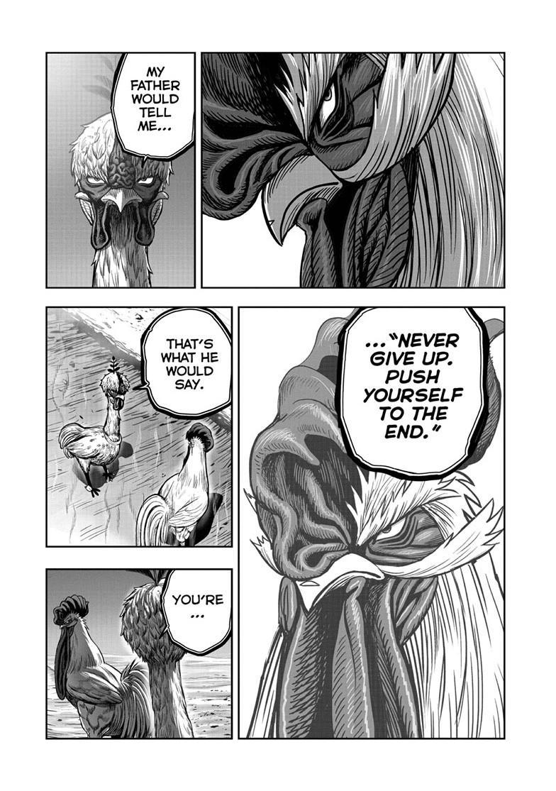 Rooster Fighter Chapter 50 36