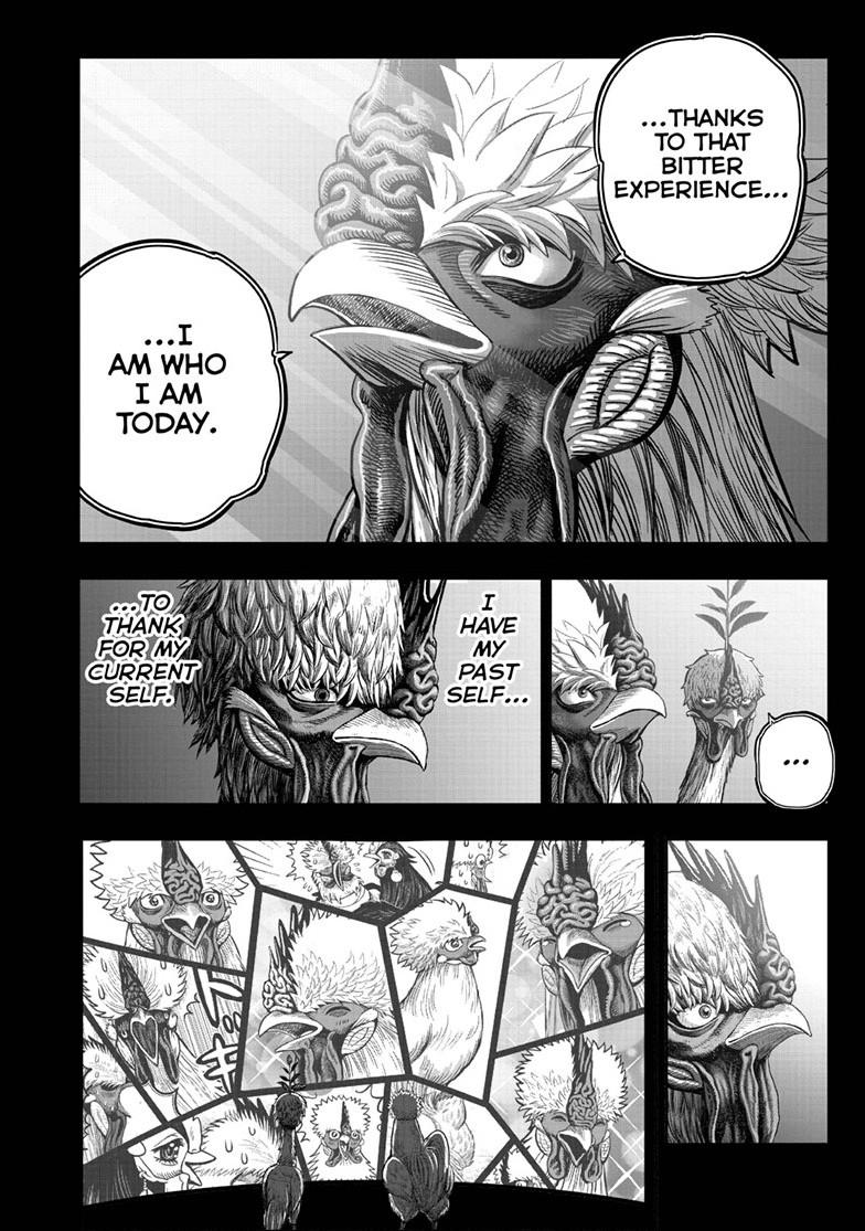 Rooster Fighter Chapter 50 47