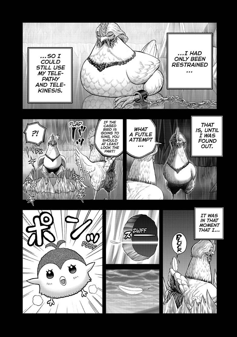 Rooster Fighter Chapter 51 7