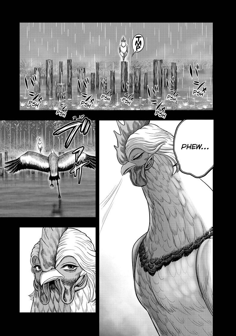 Rooster Fighter Chapter 51 18