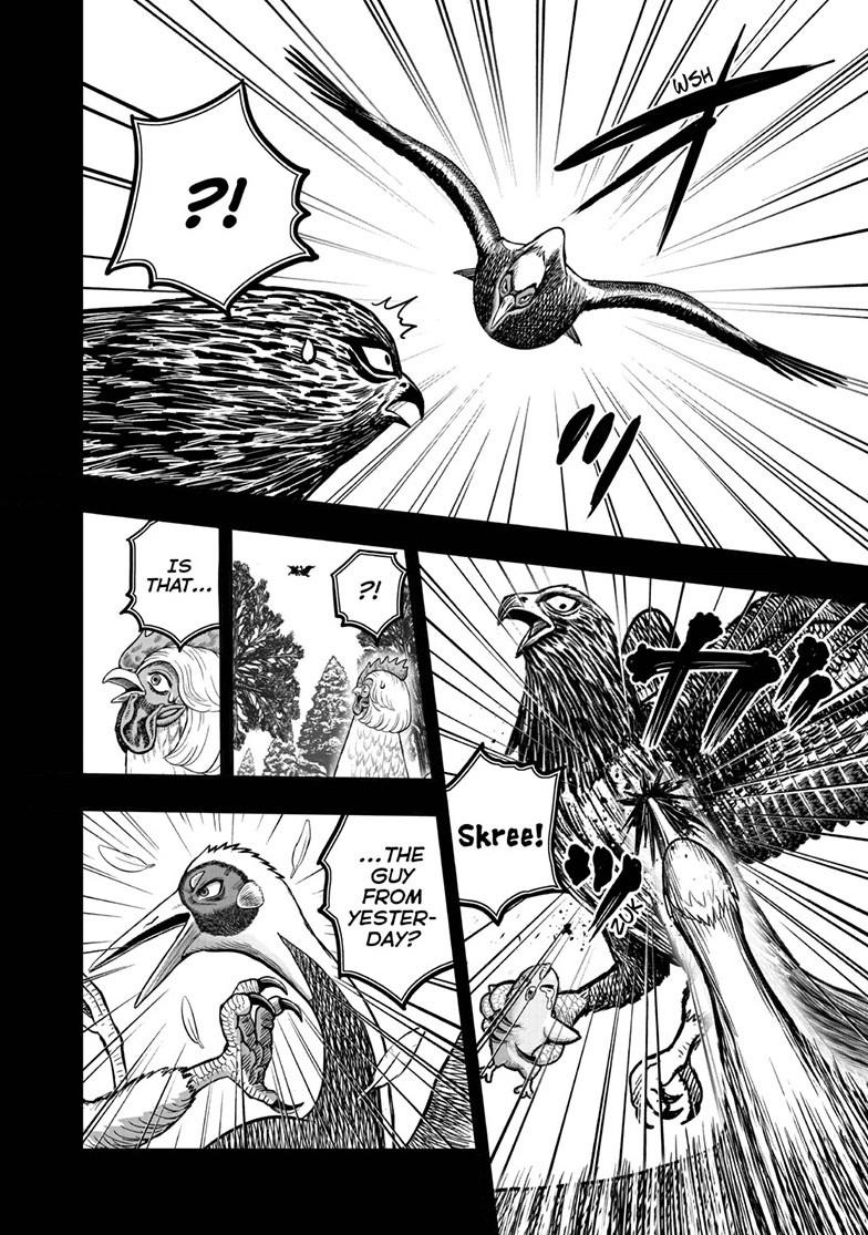 Rooster Fighter Chapter 51 27