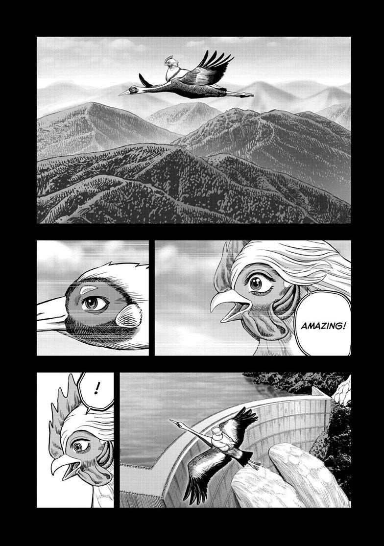 Rooster Fighter Chapter 51 37