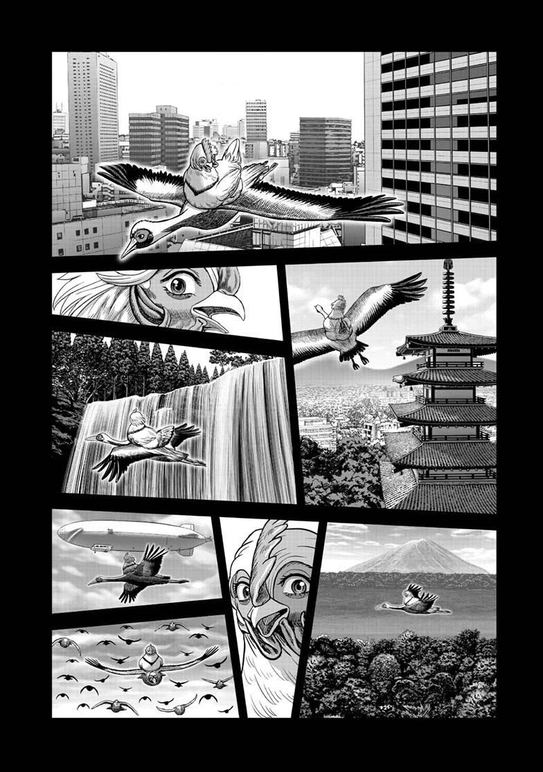Rooster Fighter Chapter 51 39