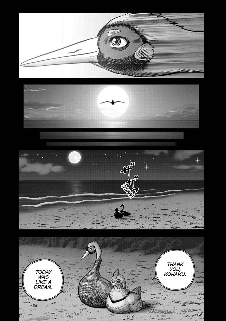 Rooster Fighter Chapter 51 42