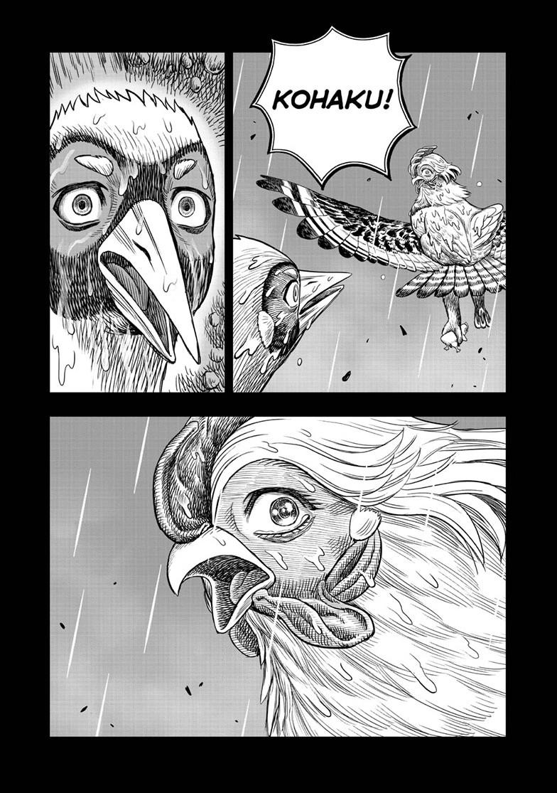Rooster Fighter Chapter 53 54