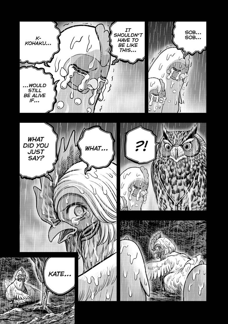 Rooster Fighter Chapter 54 14