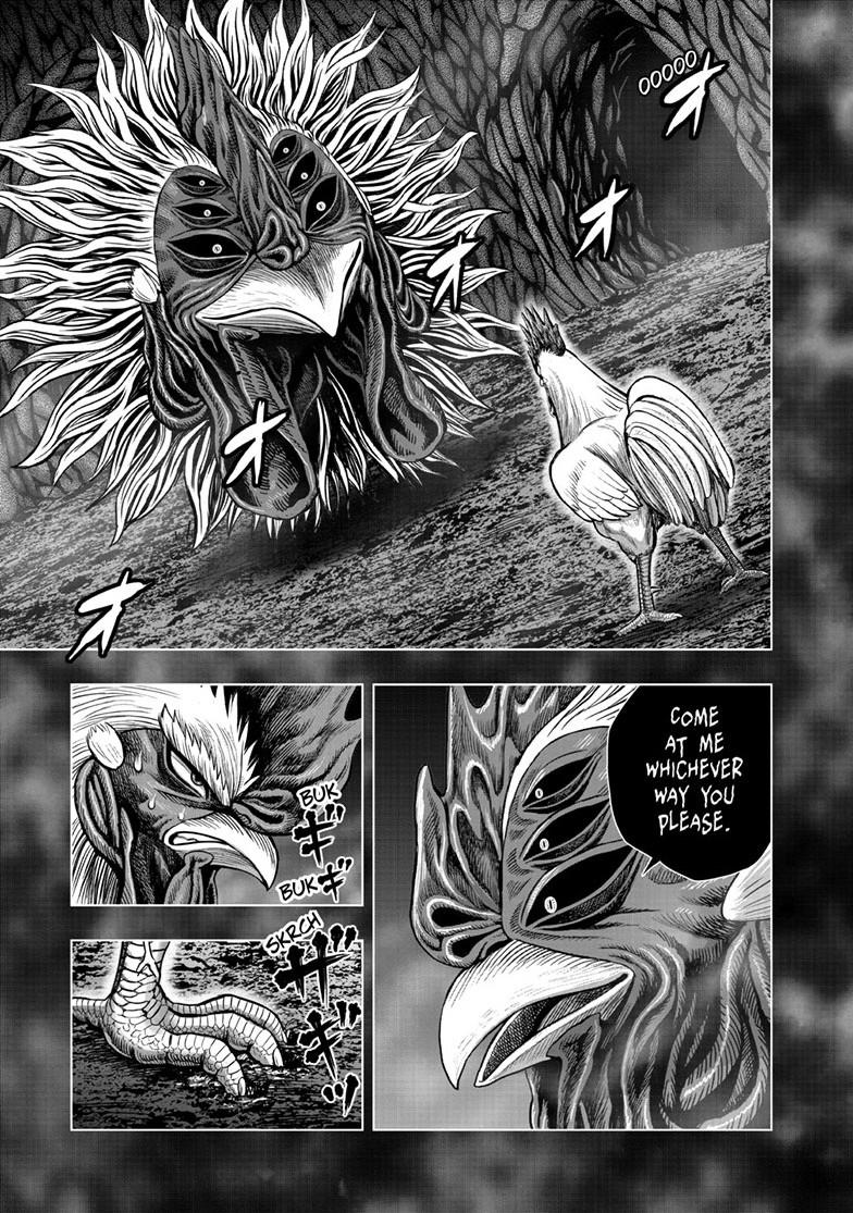 Rooster Fighter Chapter 56 8