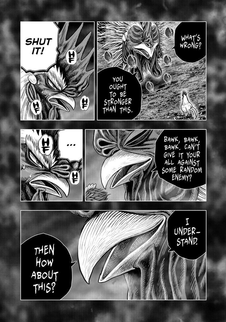 Rooster Fighter Chapter 56 15