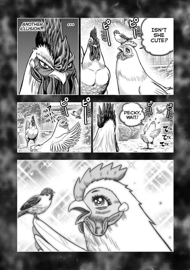 Rooster Fighter Chapter 56 23