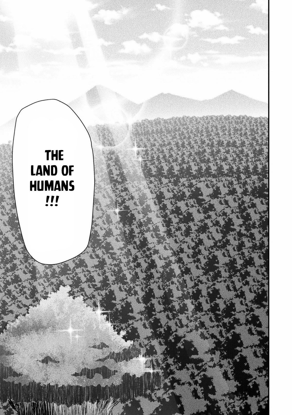 The Other World's Wizard Does Not Chant Strategy 32 19