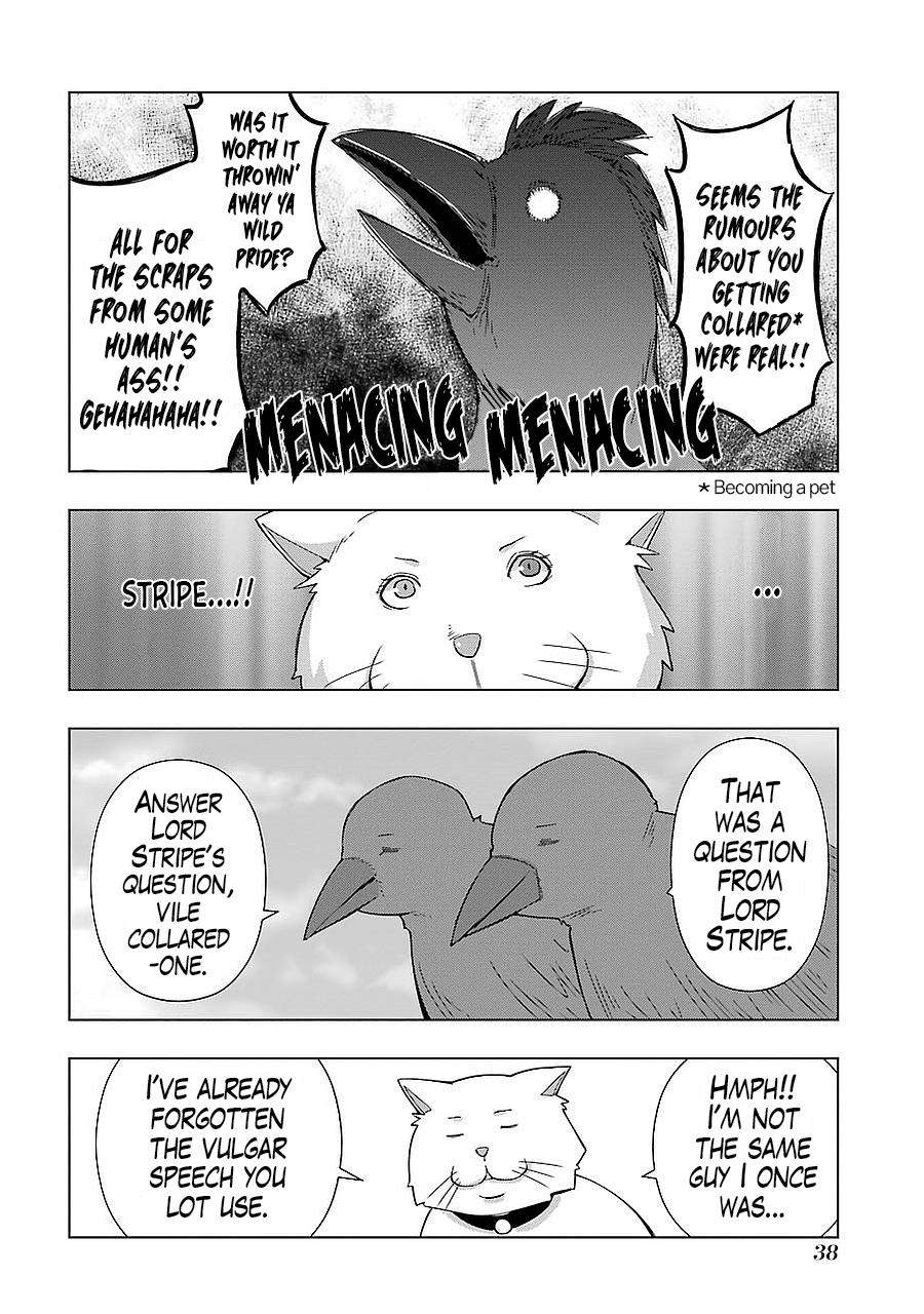 + Tic Neesan Chapter 174 2