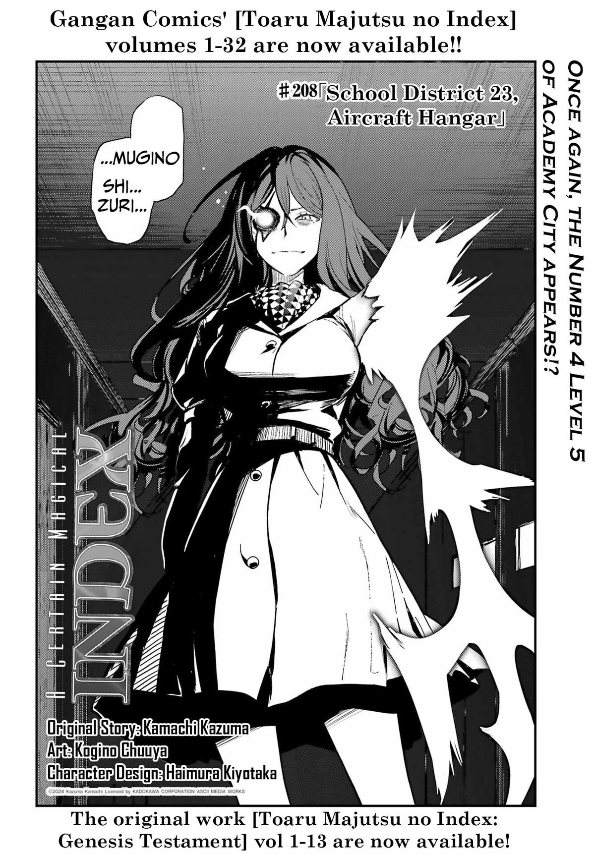 A Certain Magical Index # 208 2