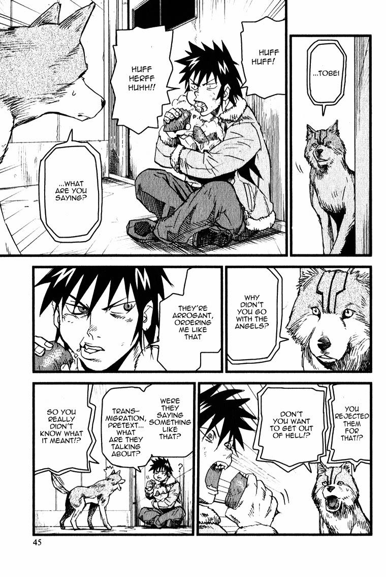 Page 43