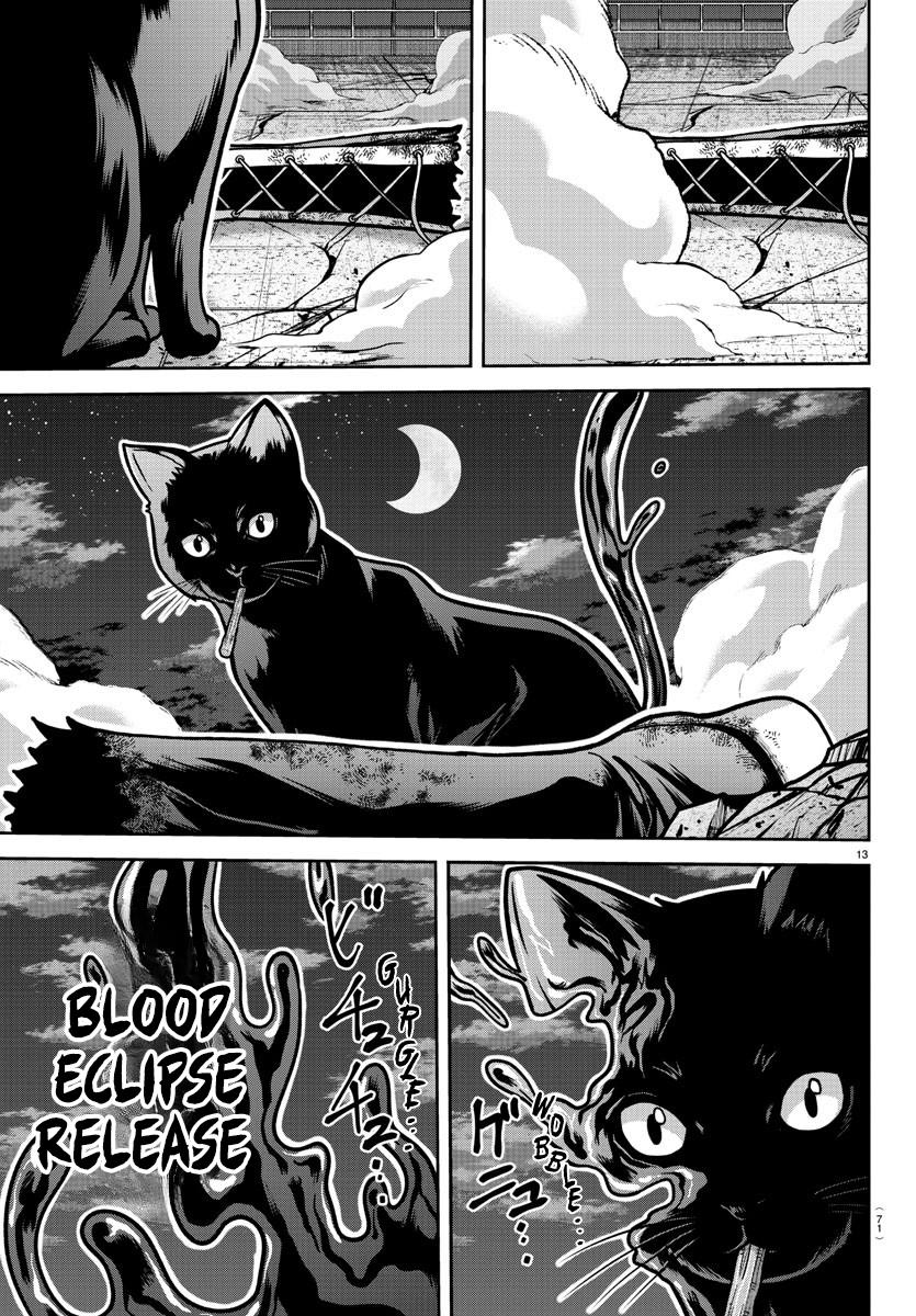 Tougen Anki - Legend of the Cursed Blood Chapter 184 13