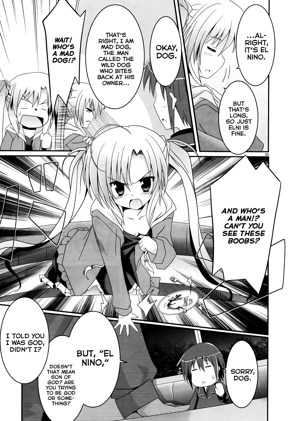 Page 25