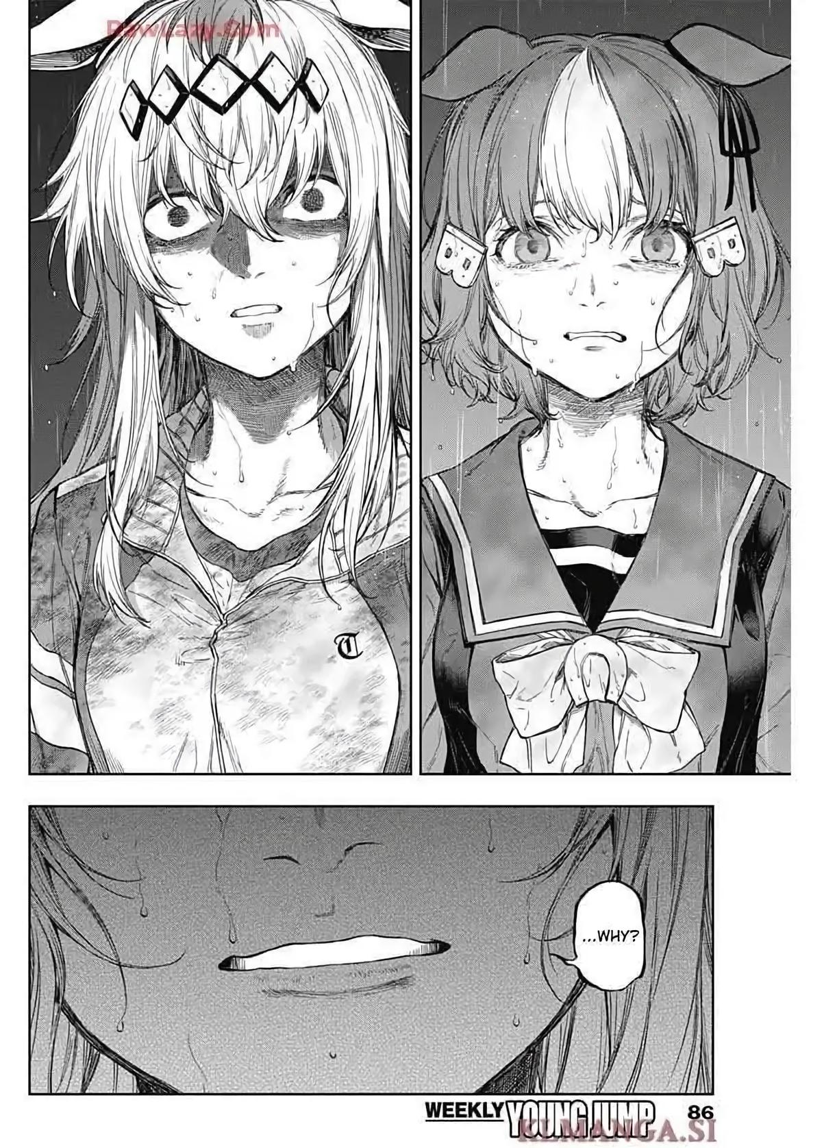 Uma Musume: Cinderella Gray Chapter 196