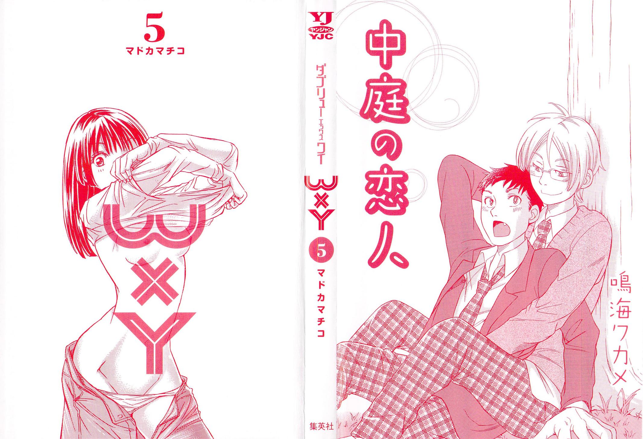 W x Y Chapter 38 2