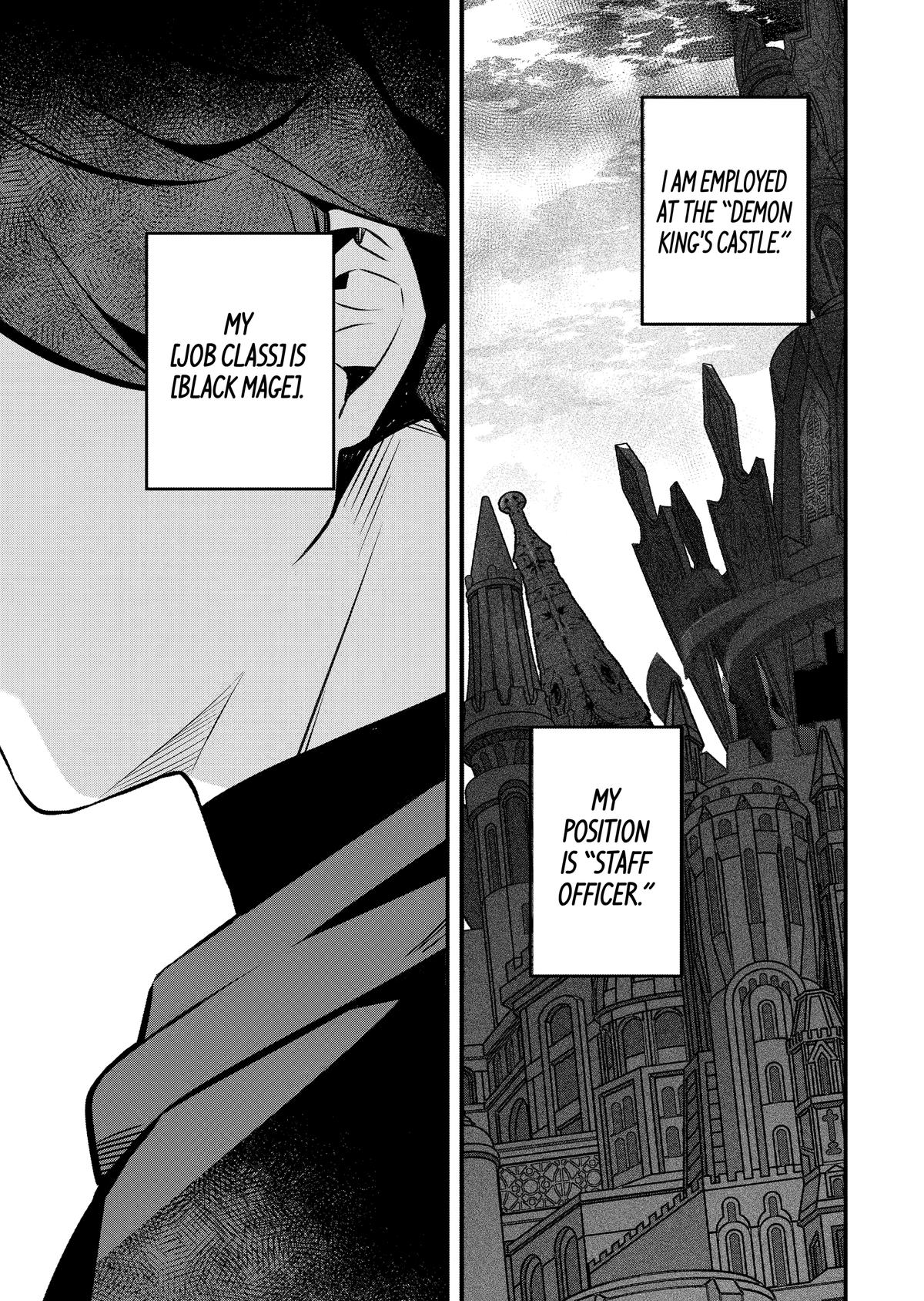The Impregnable Demon King's Castle and the Expelled Black Mage of the Hero's Party Chapter 4 43