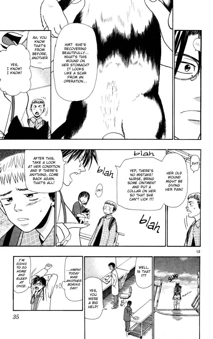 Wild Life Chapter 9 12