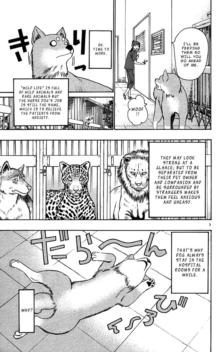Wild Life Chapter 32 7