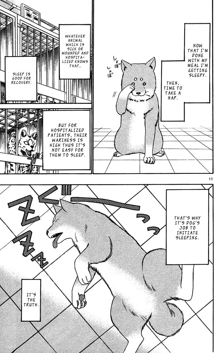 Wild Life Chapter 32 11