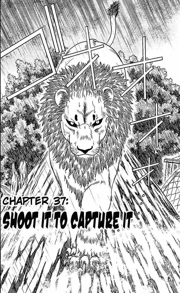 Wild Life Chapter 37 6