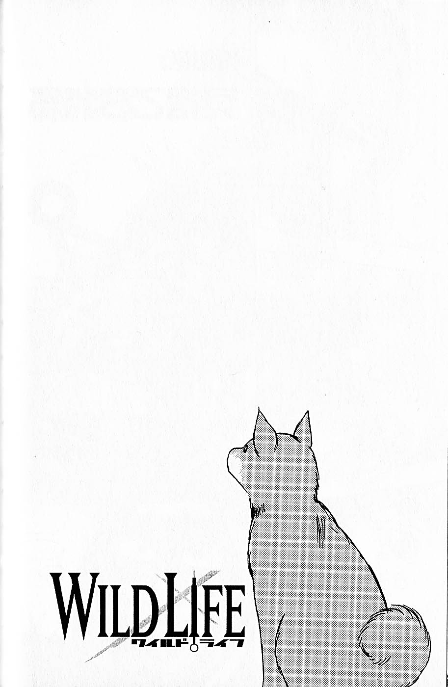 Wild Life Chapter 38 5