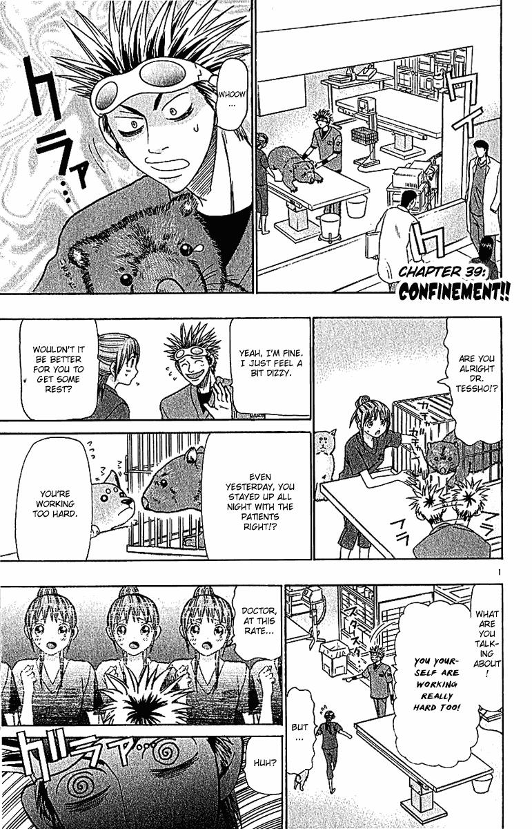 Wild Life Chapter 39 1