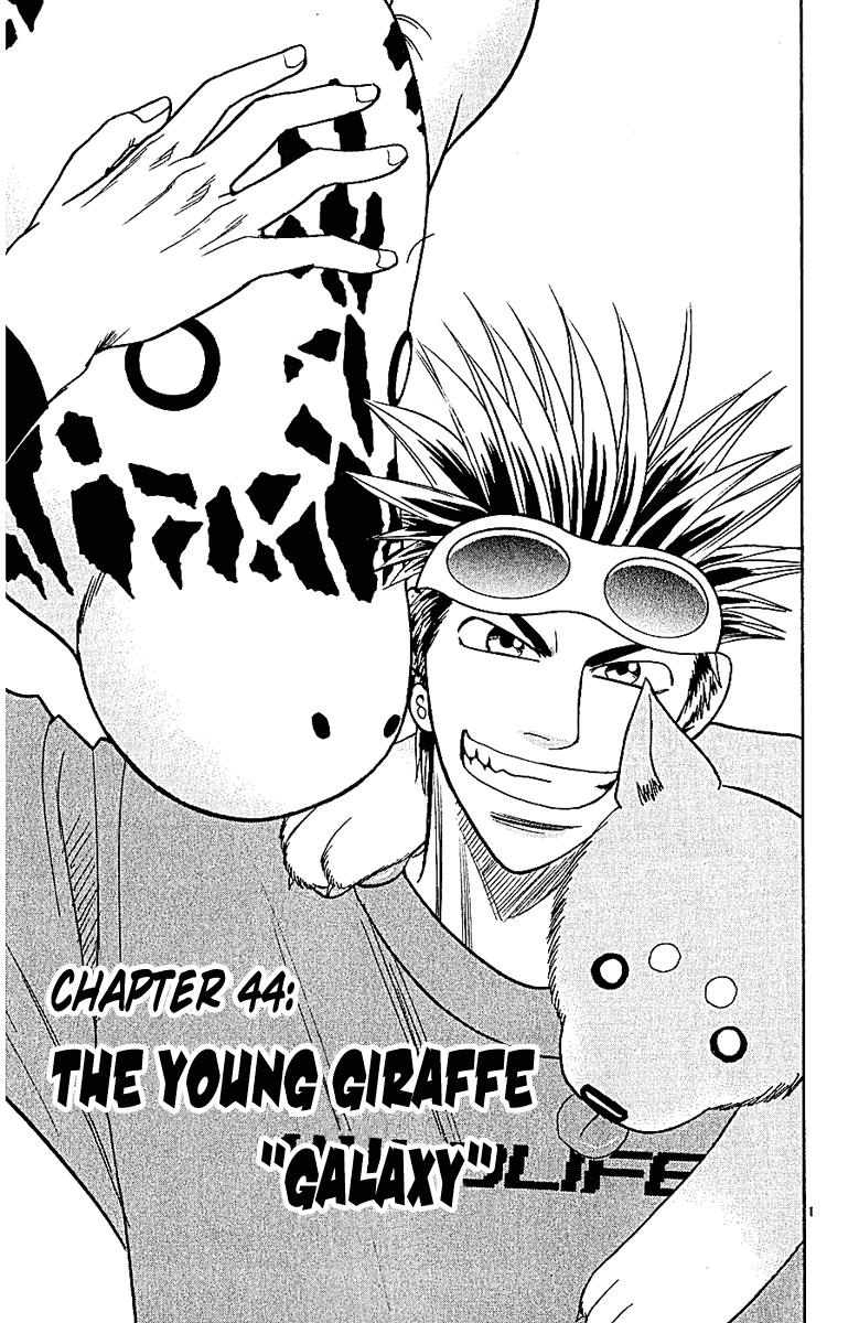 Wild Life Chapter 44 1