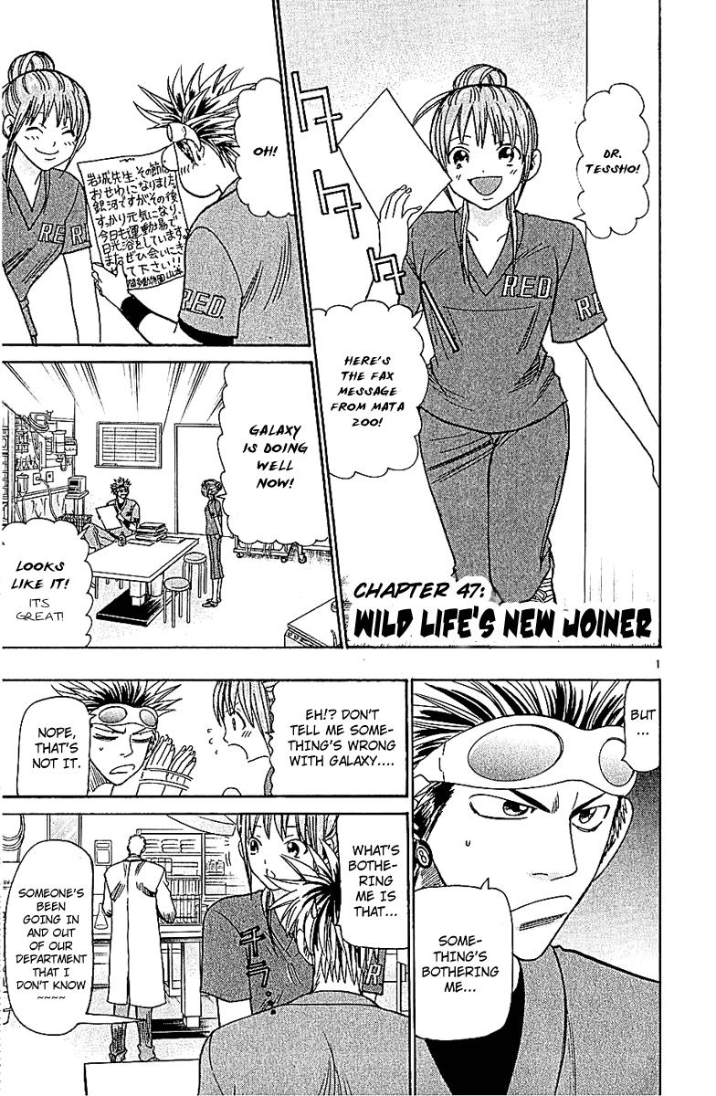 Wild Life Chapter 47 1