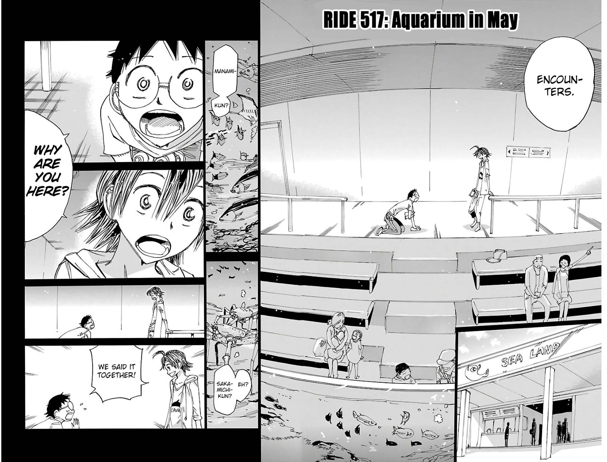 Yowamushi Pedal Ride. 517 4