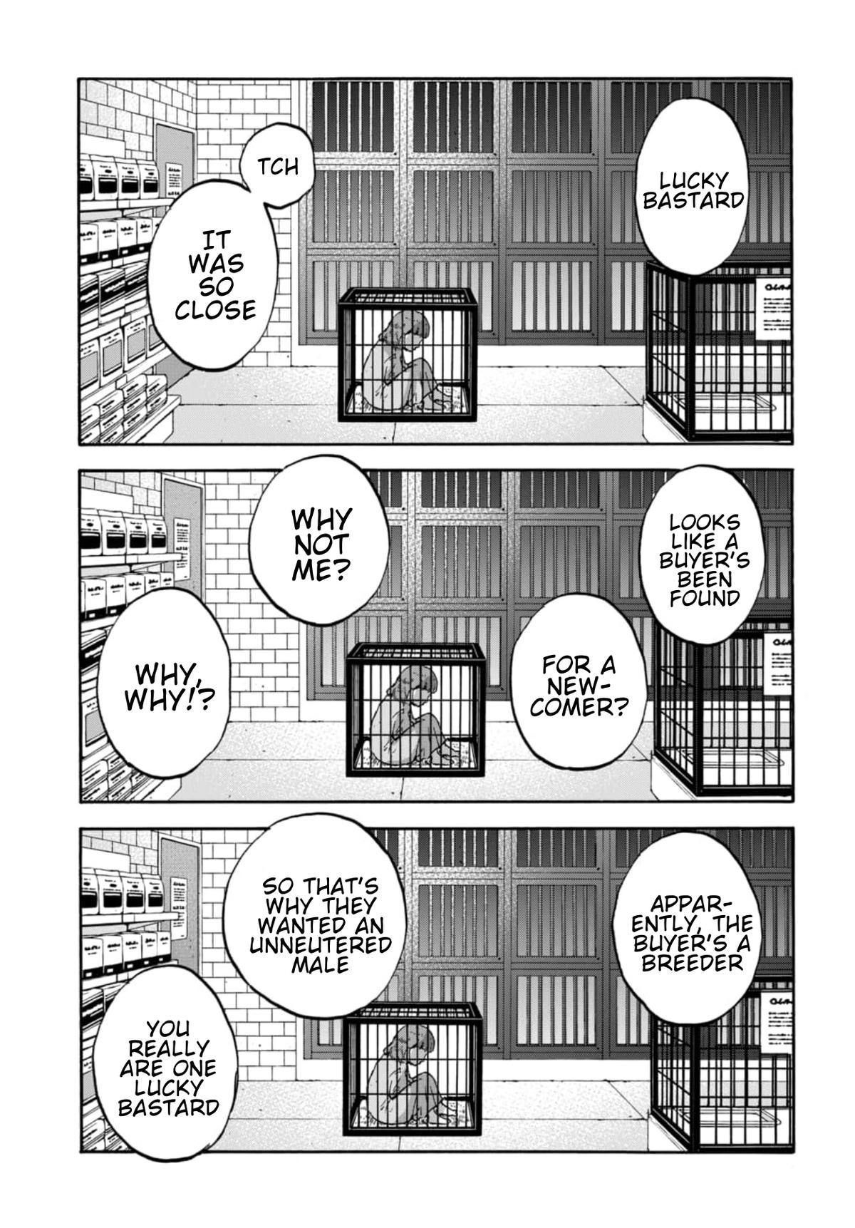 Animan Chapter 17 27