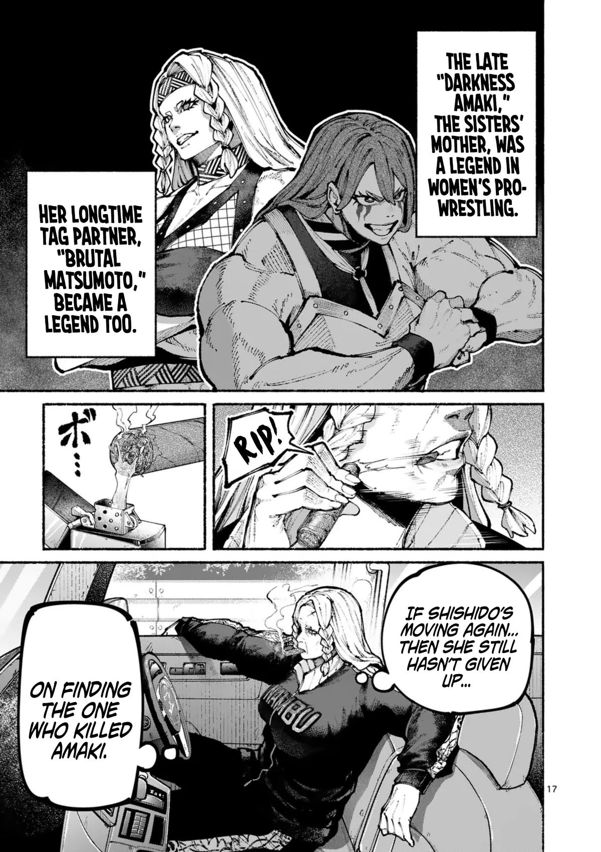 Page 17