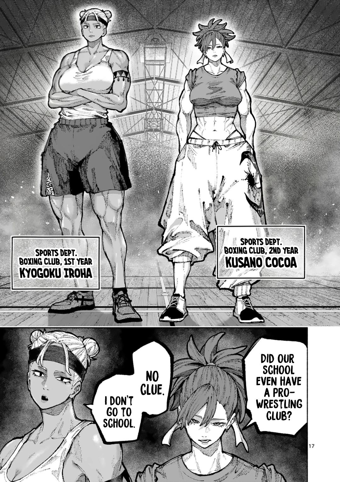 Page 17