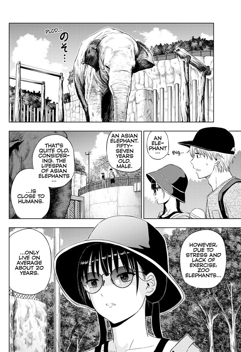 Cosmos File 21 6