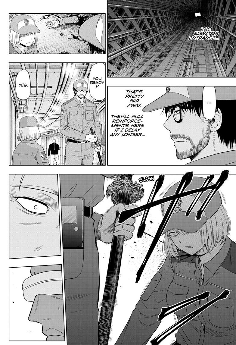 Cosmos File 33 15