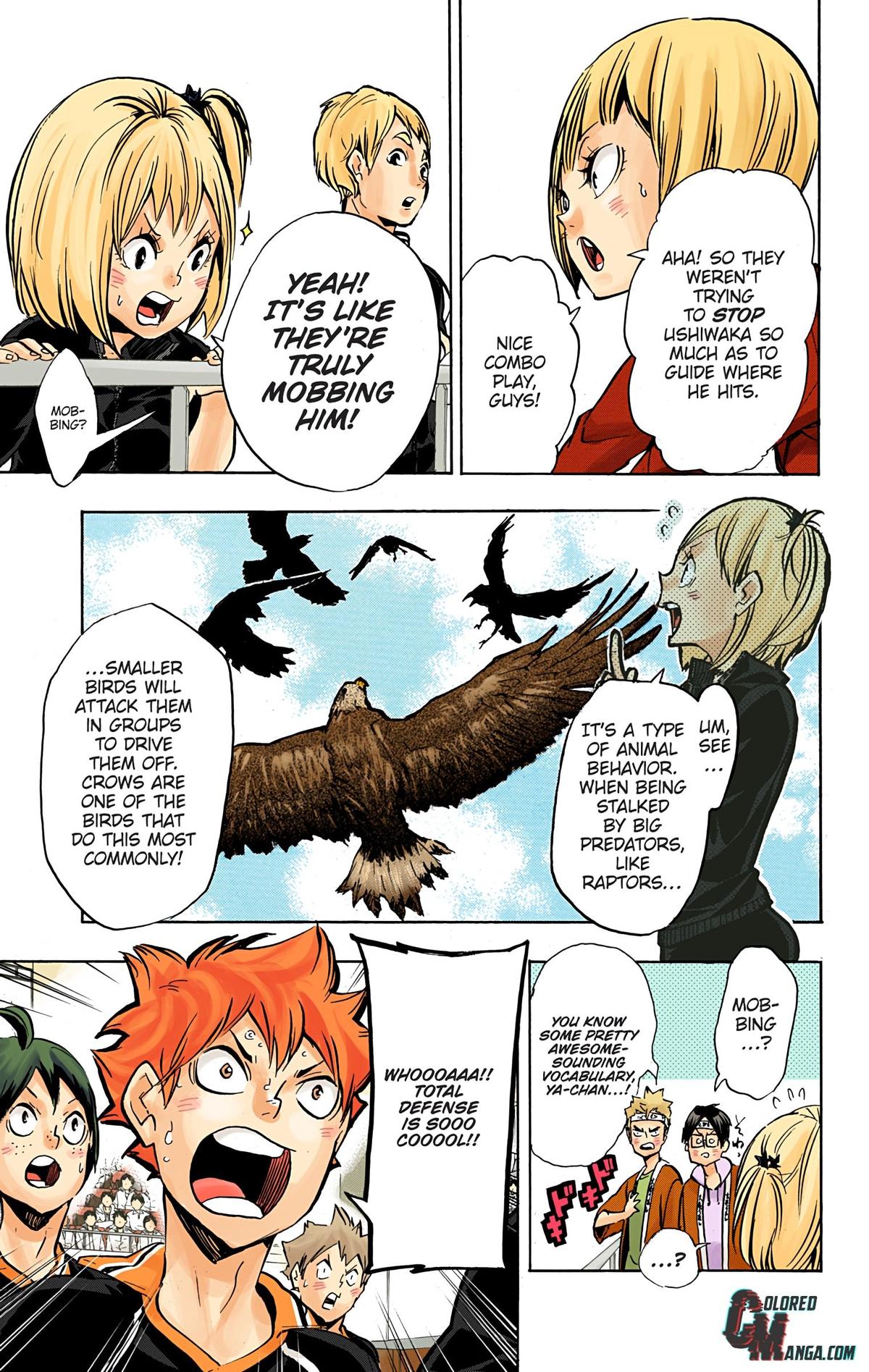 Haikyu!! (Color) Chapter 160