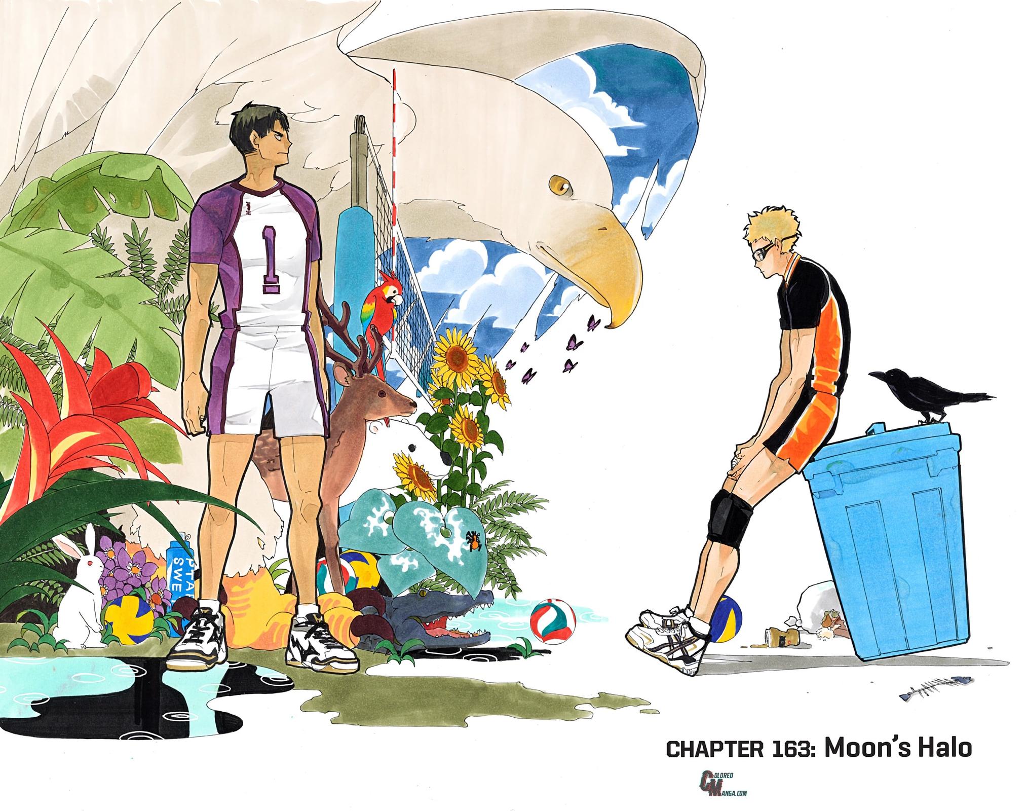 Haikyu!! (Color) Chapter 163