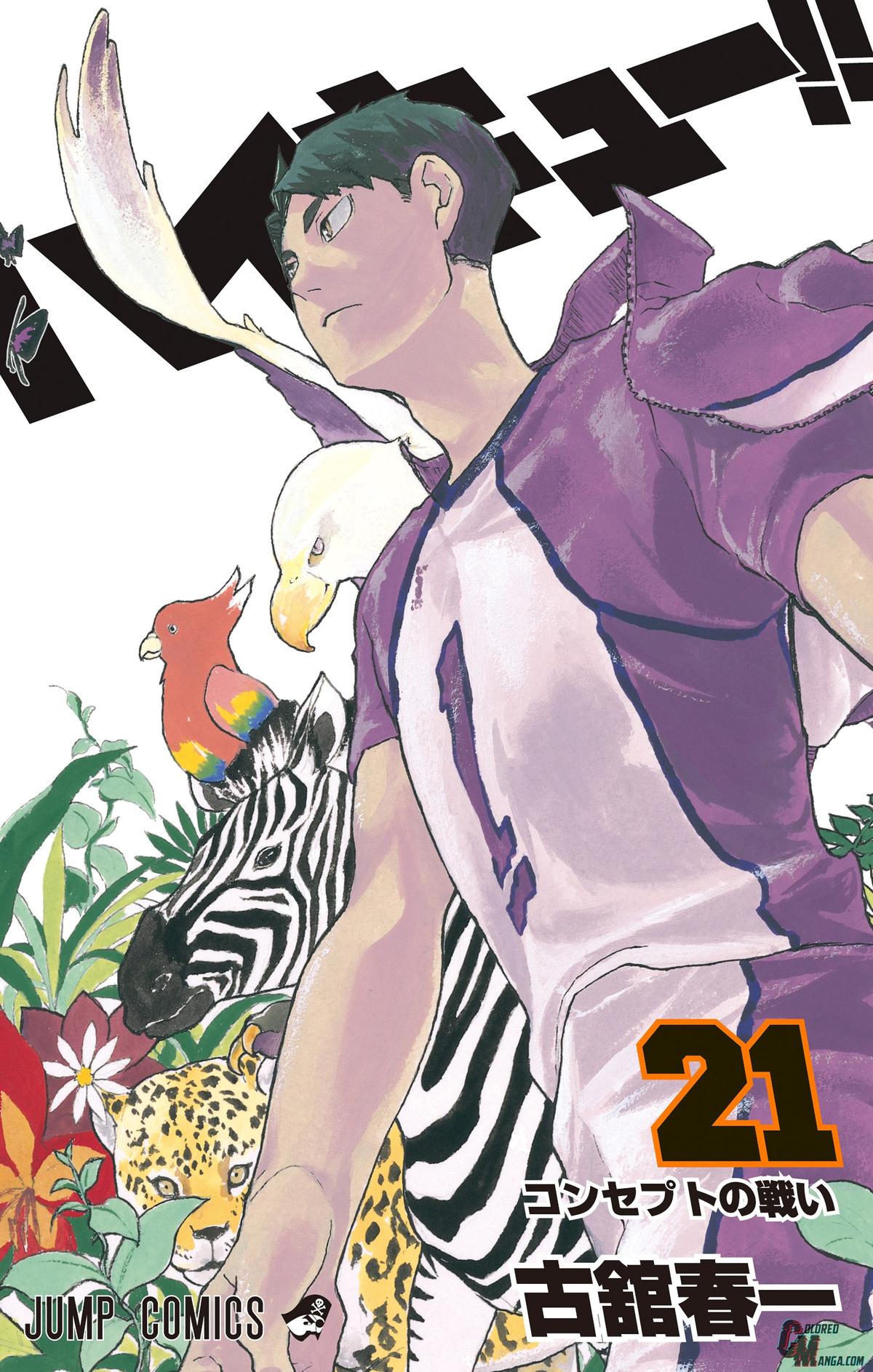 Haikyu!! (Color) Chapter 181
