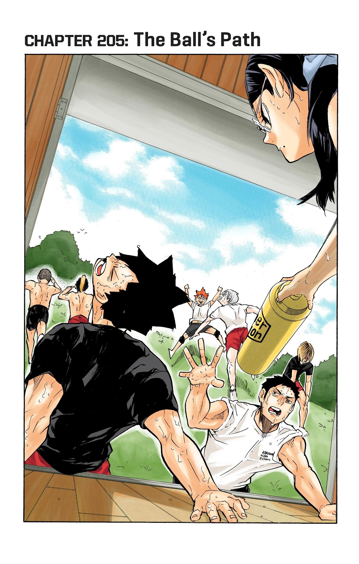 Haikyu!! (Color) Chapter 205