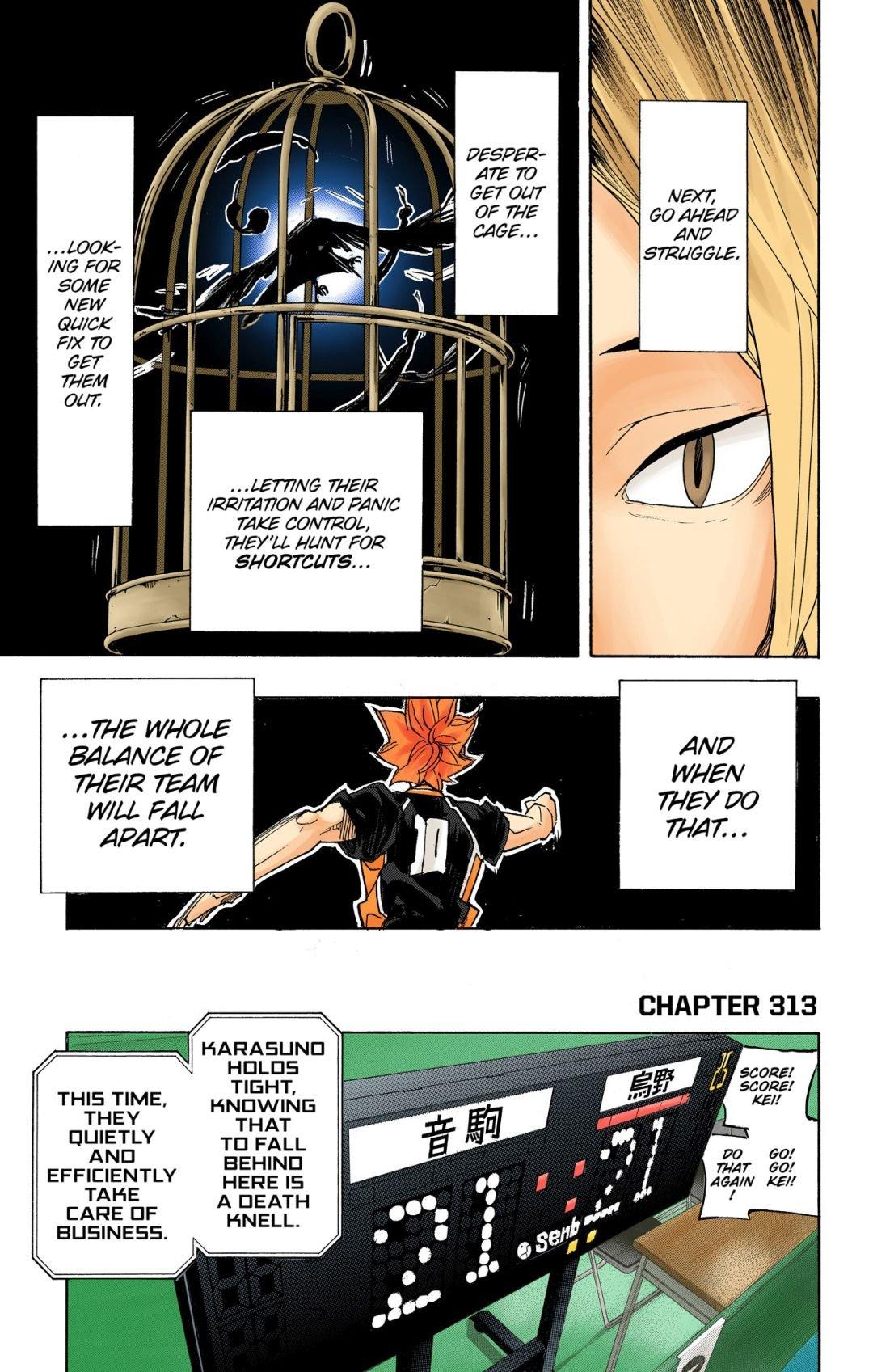 Haikyu!! (Color) Chapter 313