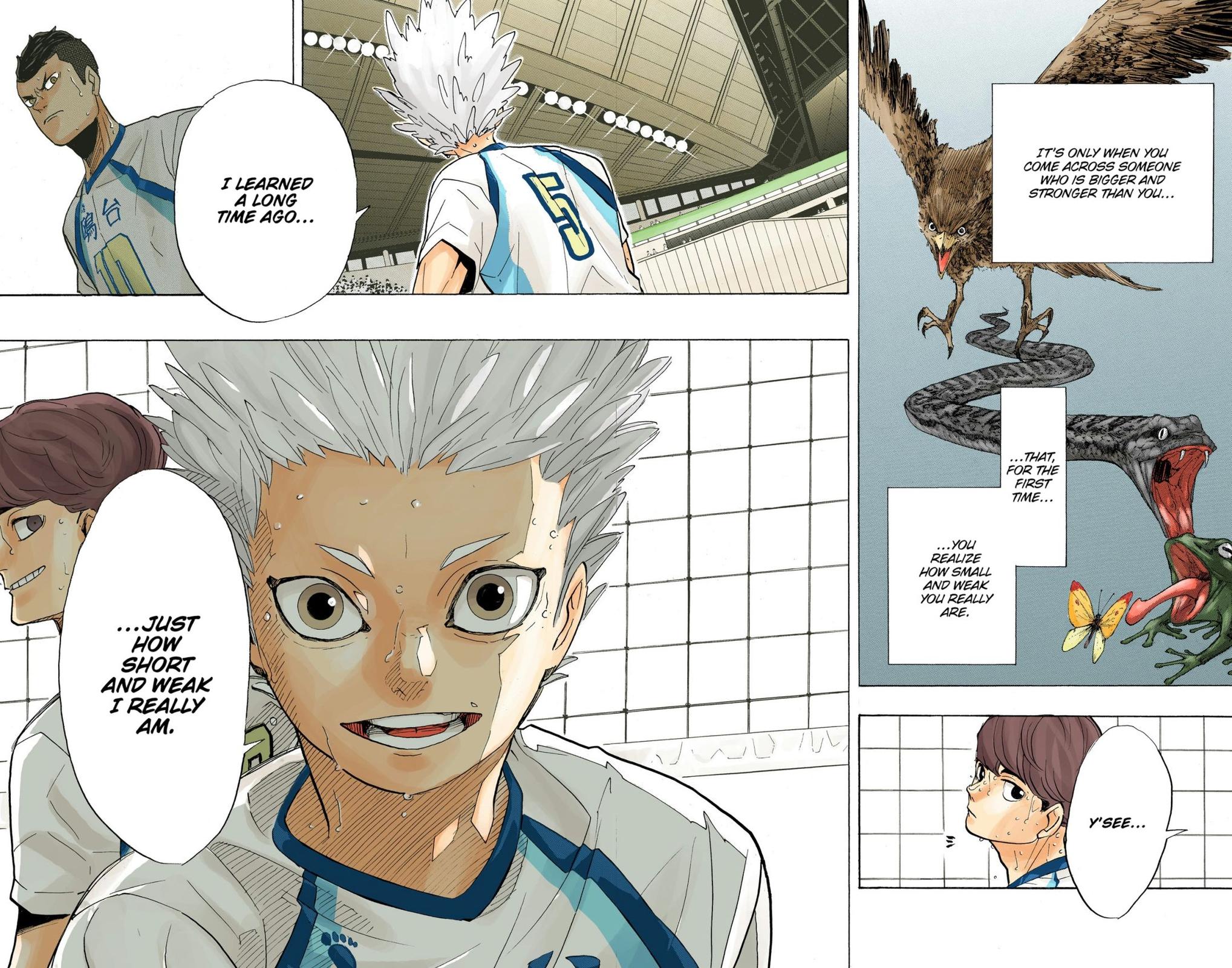 Haikyu!! (Color) Chapter 343
