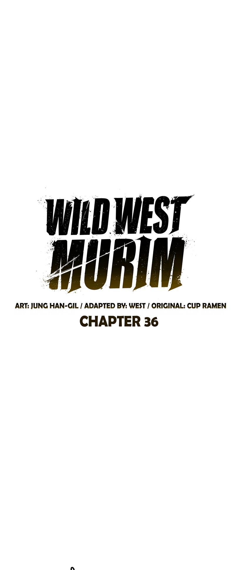 Martial Wild West Chapter 36 28