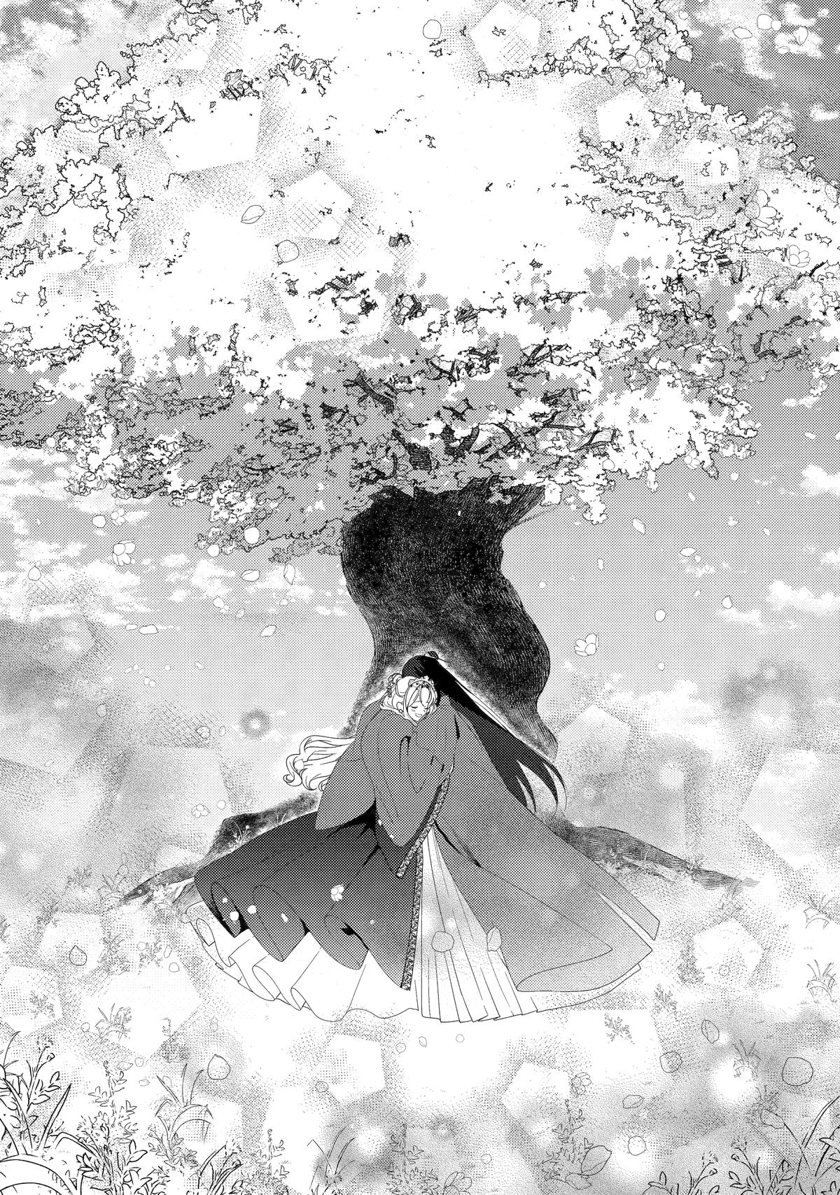 The Healer Consort Chapter 27 42